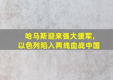 哈马斯迎来强大援军,以色列陷入两线血战中国