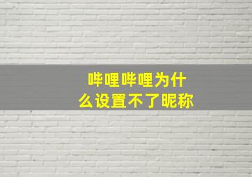 哔哩哔哩为什么设置不了昵称