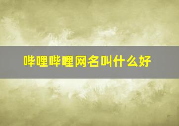 哔哩哔哩网名叫什么好