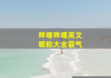 哔哩哔哩英文昵称大全霸气