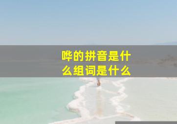 哗的拼音是什么组词是什么