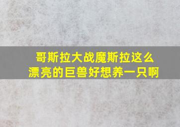 哥斯拉大战魔斯拉这么漂亮的巨兽好想养一只啊