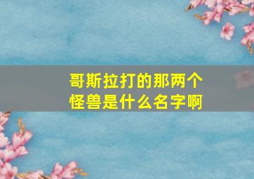 哥斯拉打的那两个怪兽是什么名字啊