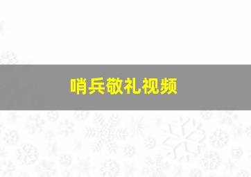 哨兵敬礼视频