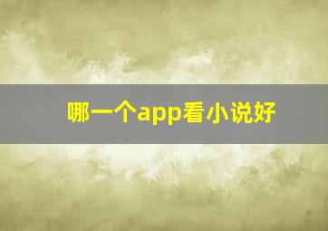 哪一个app看小说好