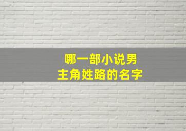 哪一部小说男主角姓路的名字