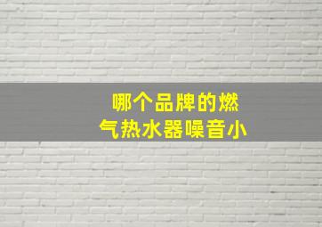 哪个品牌的燃气热水器噪音小