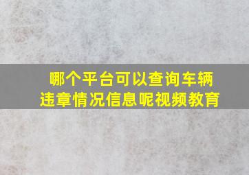 哪个平台可以查询车辆违章情况信息呢视频教育