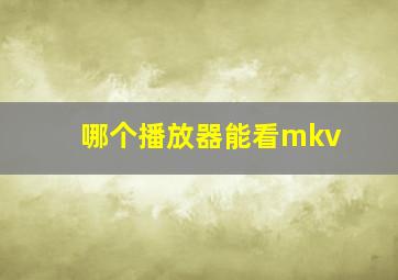 哪个播放器能看mkv