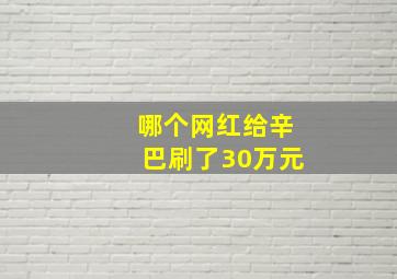 哪个网红给辛巴刷了30万元