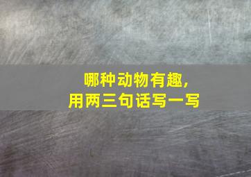 哪种动物有趣,用两三句话写一写