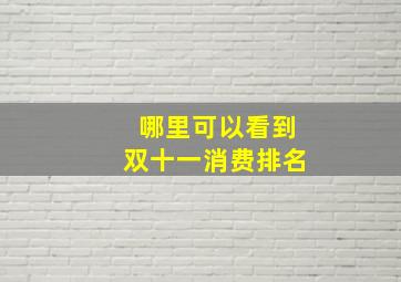 哪里可以看到双十一消费排名