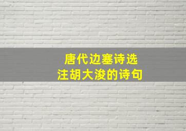 唐代边塞诗选注胡大浚的诗句