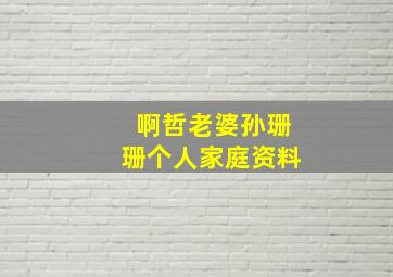 啊哲老婆孙珊珊个人家庭资料