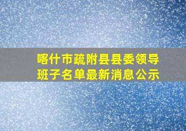 喀什市疏附县县委领导班子名单最新消息公示