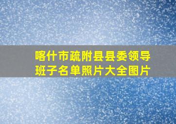 喀什市疏附县县委领导班子名单照片大全图片