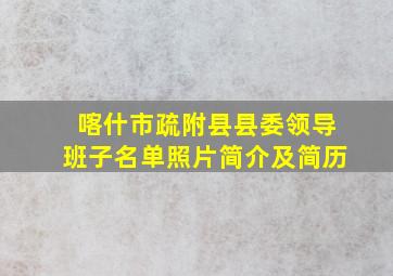 喀什市疏附县县委领导班子名单照片简介及简历