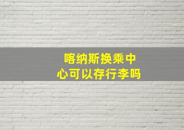 喀纳斯换乘中心可以存行李吗