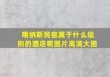 喀纳斯民宿属于什么级别的酒店呢图片高清大图