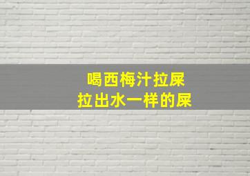 喝西梅汁拉屎拉出水一样的屎