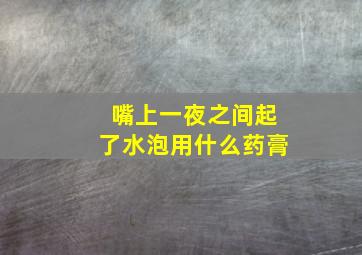 嘴上一夜之间起了水泡用什么药膏