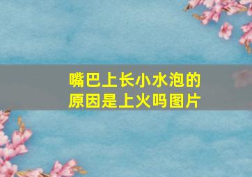 嘴巴上长小水泡的原因是上火吗图片