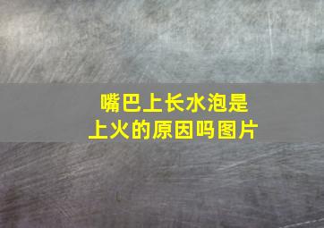 嘴巴上长水泡是上火的原因吗图片