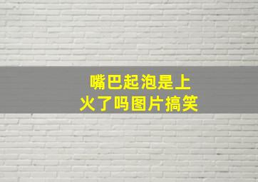 嘴巴起泡是上火了吗图片搞笑