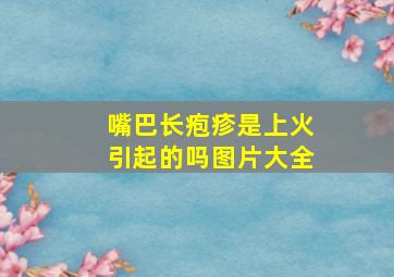 嘴巴长疱疹是上火引起的吗图片大全