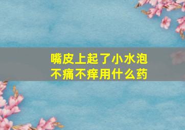 嘴皮上起了小水泡不痛不痒用什么药