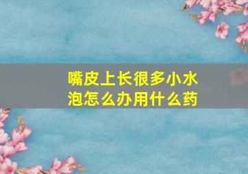 嘴皮上长很多小水泡怎么办用什么药