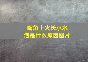 嘴角上火长小水泡是什么原因图片