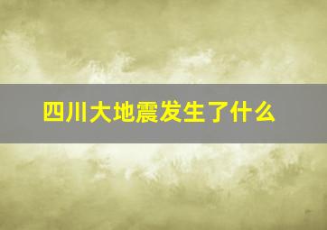 四川大地震发生了什么