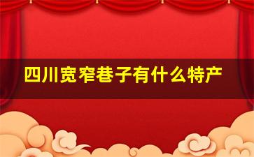 四川宽窄巷子有什么特产