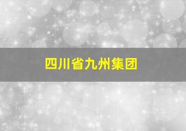 四川省九州集团