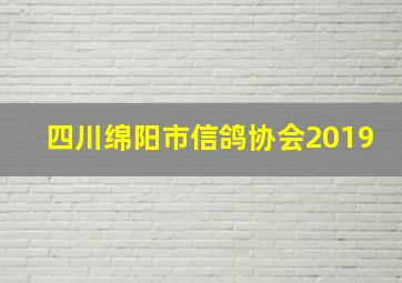 四川绵阳市信鸽协会2019