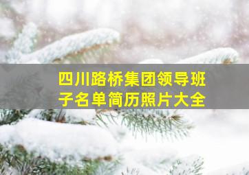 四川路桥集团领导班子名单简历照片大全