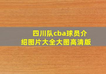 四川队cba球员介绍图片大全大图高清版