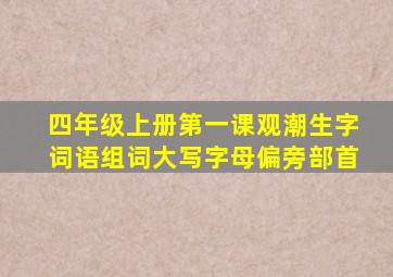 四年级上册第一课观潮生字词语组词大写字母偏旁部首