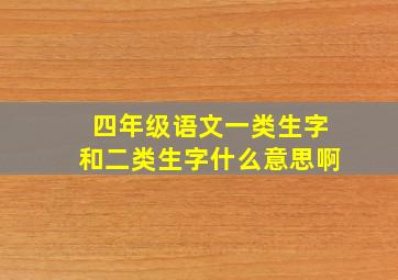 四年级语文一类生字和二类生字什么意思啊