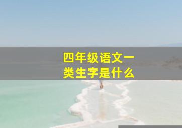 四年级语文一类生字是什么