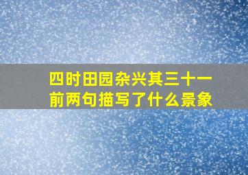 四时田园杂兴其三十一前两句描写了什么景象