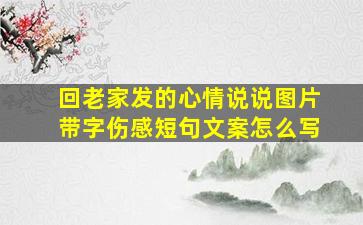 回老家发的心情说说图片带字伤感短句文案怎么写