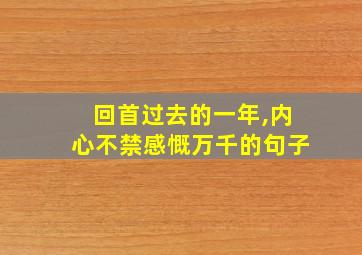 回首过去的一年,内心不禁感慨万千的句子