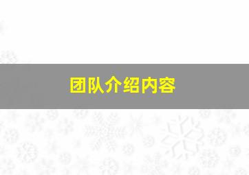 团队介绍内容