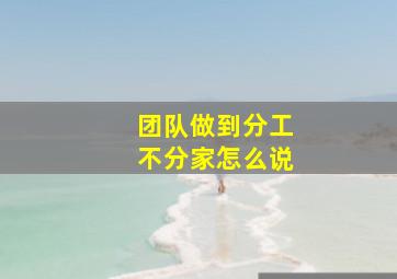 团队做到分工不分家怎么说