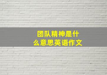 团队精神是什么意思英语作文