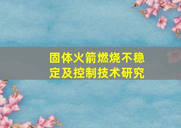 固体火箭燃烧不稳定及控制技术研究