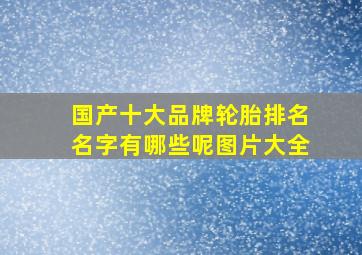 国产十大品牌轮胎排名名字有哪些呢图片大全