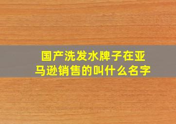 国产洗发水牌子在亚马逊销售的叫什么名字